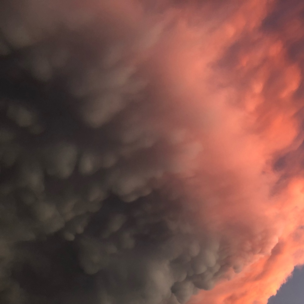 Meet your Posher, Michaela